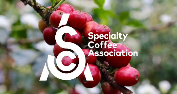 SCA, Speciality Coffee Association.