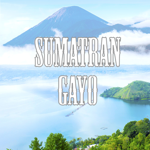 Sumatra Gayo Coffee