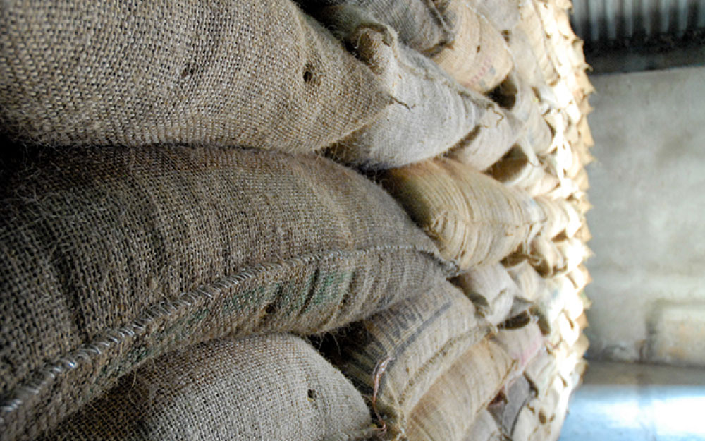 Scaling up your green coffee sourcing