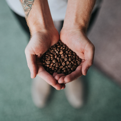 arabica-beans-premium-instant-coffee-vs-old-school