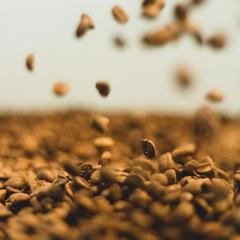 what-is-the-difference-between-arabica-beans-and-robusta-beans