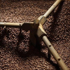 how-we-roast-coffee-beans-to-make-instant-coffee