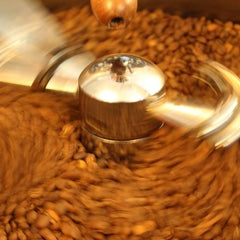 how-we-grind-the-beans-to-make-quality-instant-coffee