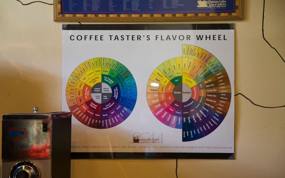 coffee flavour wheel