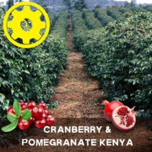Cranberry and Pomegranate Kenya Coffee Beans.